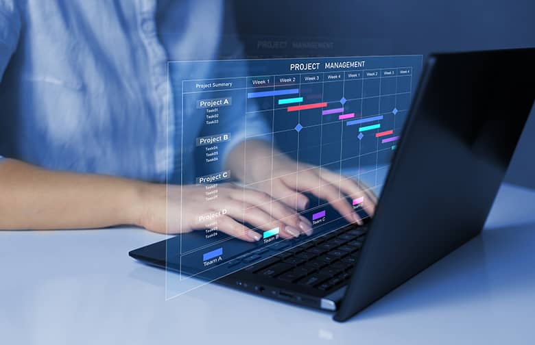 Project Management Consultation